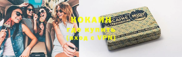 шишки Балахна