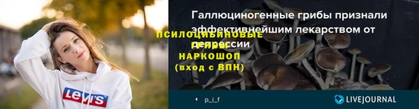 молекула духа Баксан