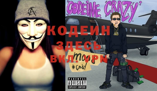 шишки Балахна