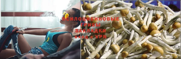 молекула духа Баксан