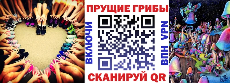 дарнет шоп Пятигорск Галлюциногенные грибы GOLDEN TEACHER